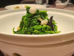 -子福慧(虹桥店)
