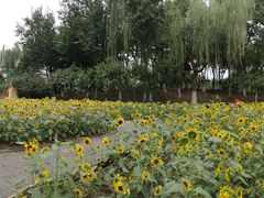 -圩墩遗址公园