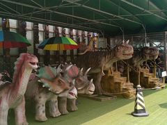 -北京呀路古热带植物园