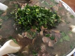 -小杨翘脚牛肉