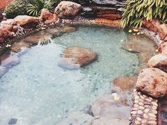-崇阳三特浪口温泉