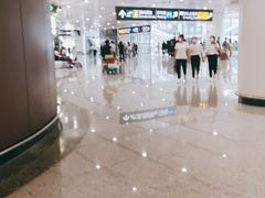 -麦当劳(北京大兴机场二层国内到达(安检外)店)