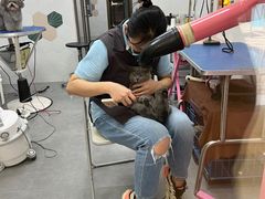 -瑞鹏宠物医院·骨科·猫科·内科(第一中心)