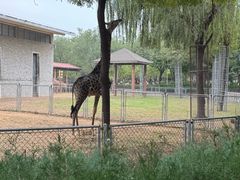 -石家庄市动物园