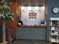 -ODIN 奥丁形象设计 