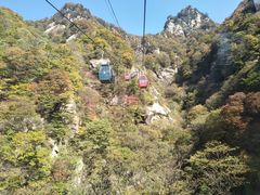 -王顺山国家森林公园