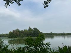 -东湖落雁景区