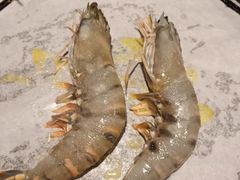 -熊出没日本烧肉放题