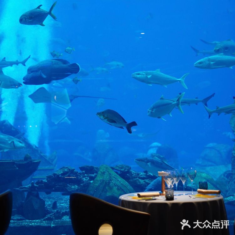 三亚亚特兰蒂斯奥西亚诺海底餐厅| 沉浸式用餐体验
