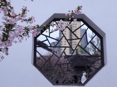 -莫愁湖公园