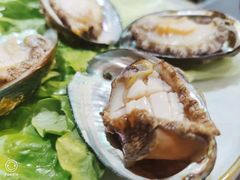 鲜活小鲍鱼-金龙·打边炉(武进路店)