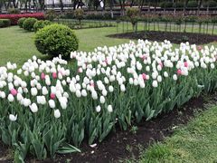 -上海鲜花港