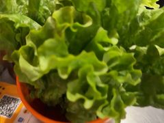 -永安里地摊烤肉(首创店)