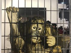 -香港会议展览中心演讲厅