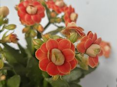 -青龙湖公园