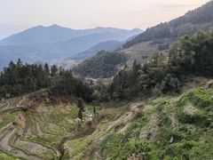 -紫鹊界梯田景区