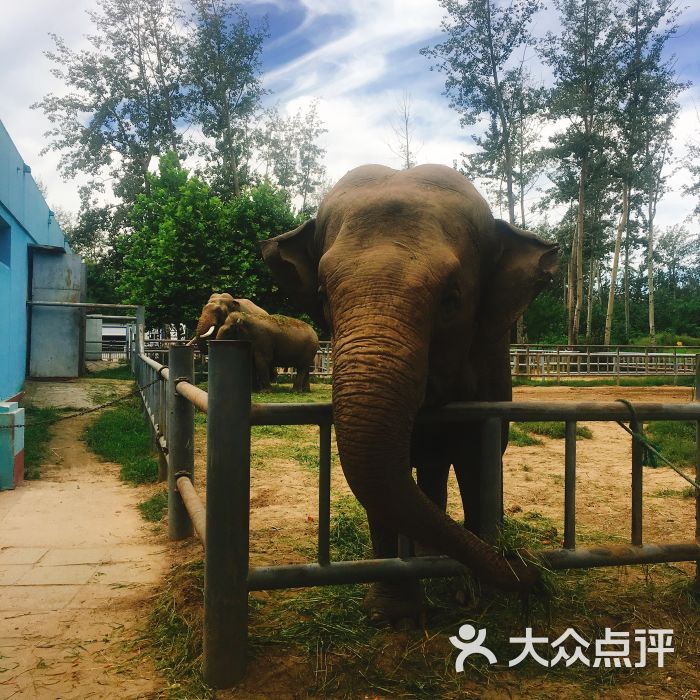 秦皇岛野生动物园景点图片 第9张