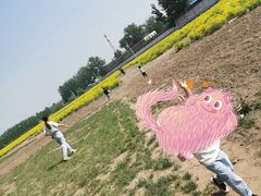 -天津武清北运河郊野公园房车露营地