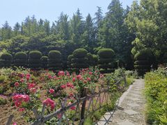 -洛阳市隋唐城遗址植物园