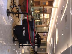 -知音艺术教育培训·钢琴培训·音乐培训(河西金鹰世界校区)