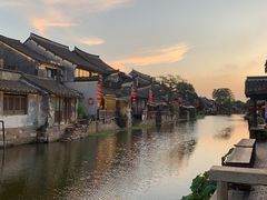 -西塘人家•黑金冠本地好店