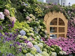 -深圳仙湖植物园