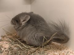 -龙猫仔乐园(惠福东路店)