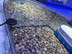-澜悦港海鲜体验主题餐厅