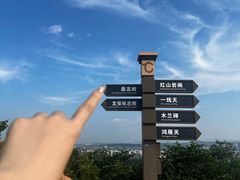 -红山国家森林公园