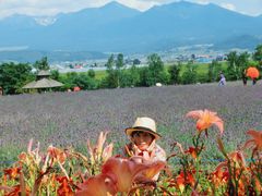 -富田农场