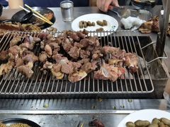 -海拉尔碳烤羊腿烤鸽子(吕营店)