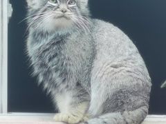 -清真悦宾楼食府(海湖店)