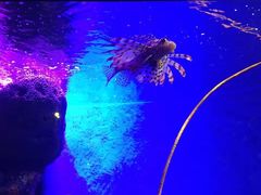 -暹罗海洋世界