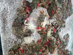 -春华海鲜城(广场西苑店)