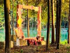 -上海海湾国家森林公园