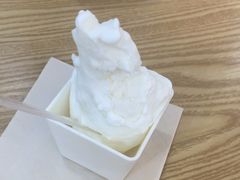 -野人先生Gelato(上海长宁龙之梦店)