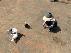 -无锡动物园·太湖欢乐园