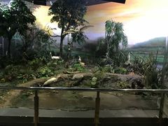 -陕西自然博物馆