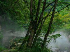 -西岭雪山大飞水景区