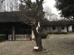 -上海市龙华烈士陵园