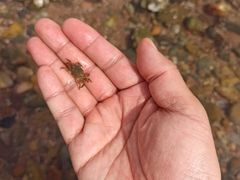 -青岛石老人海水浴场