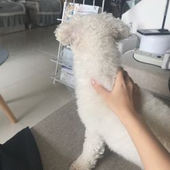 -Hands Nail专业美甲美睫