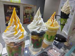 -Salud撒露欧洲冻酸奶(北苑上品店)