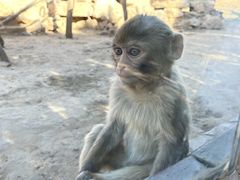 -济南野生动物世界