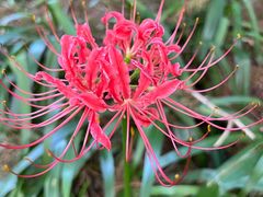 -上海滨江森林公园