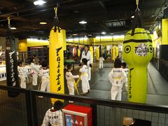 -天行健身＆天行拳馆跆拳道·格斗TXGYM