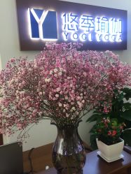 -悠季瑜伽工体会馆