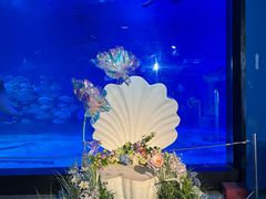 -烟台海昌鲸鲨海洋公园