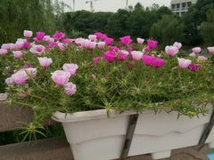 -江南大学(蠡湖校区)