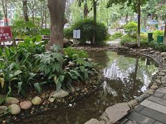 -成都市活水公园
